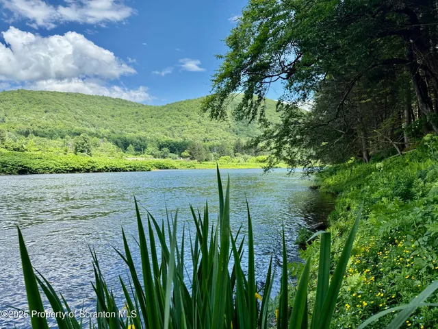 a view of a lake from a yard