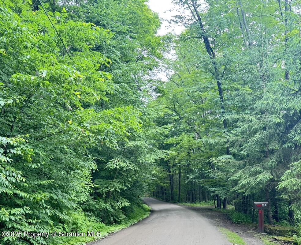 498 Penn-York Road Starlight, PA 18461 - Photo 48 of 48 a view of a forest