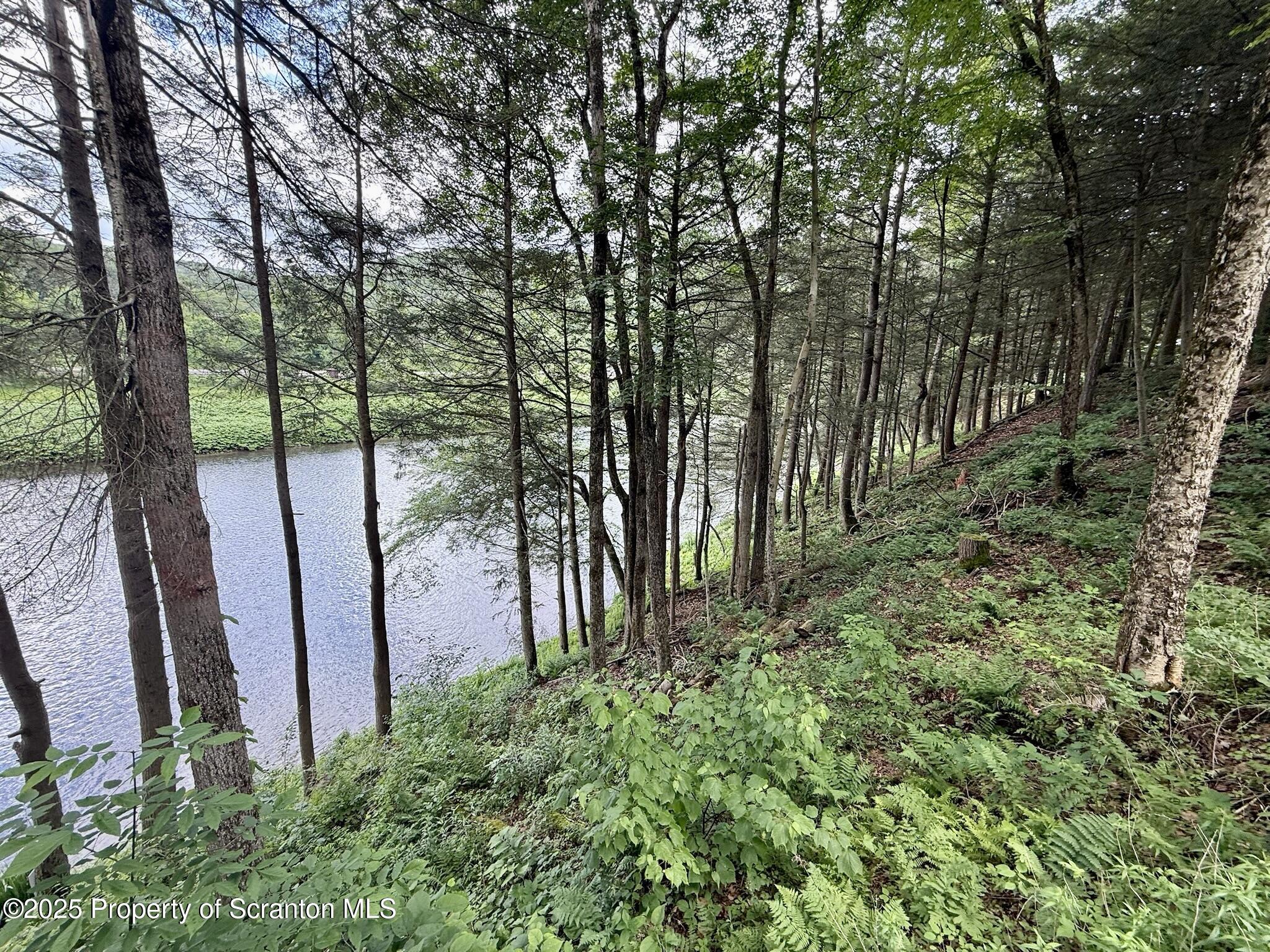 498 Penn-York Road Starlight, PA 18461 - Photo 9 of 48 a view of outdoor space and yard