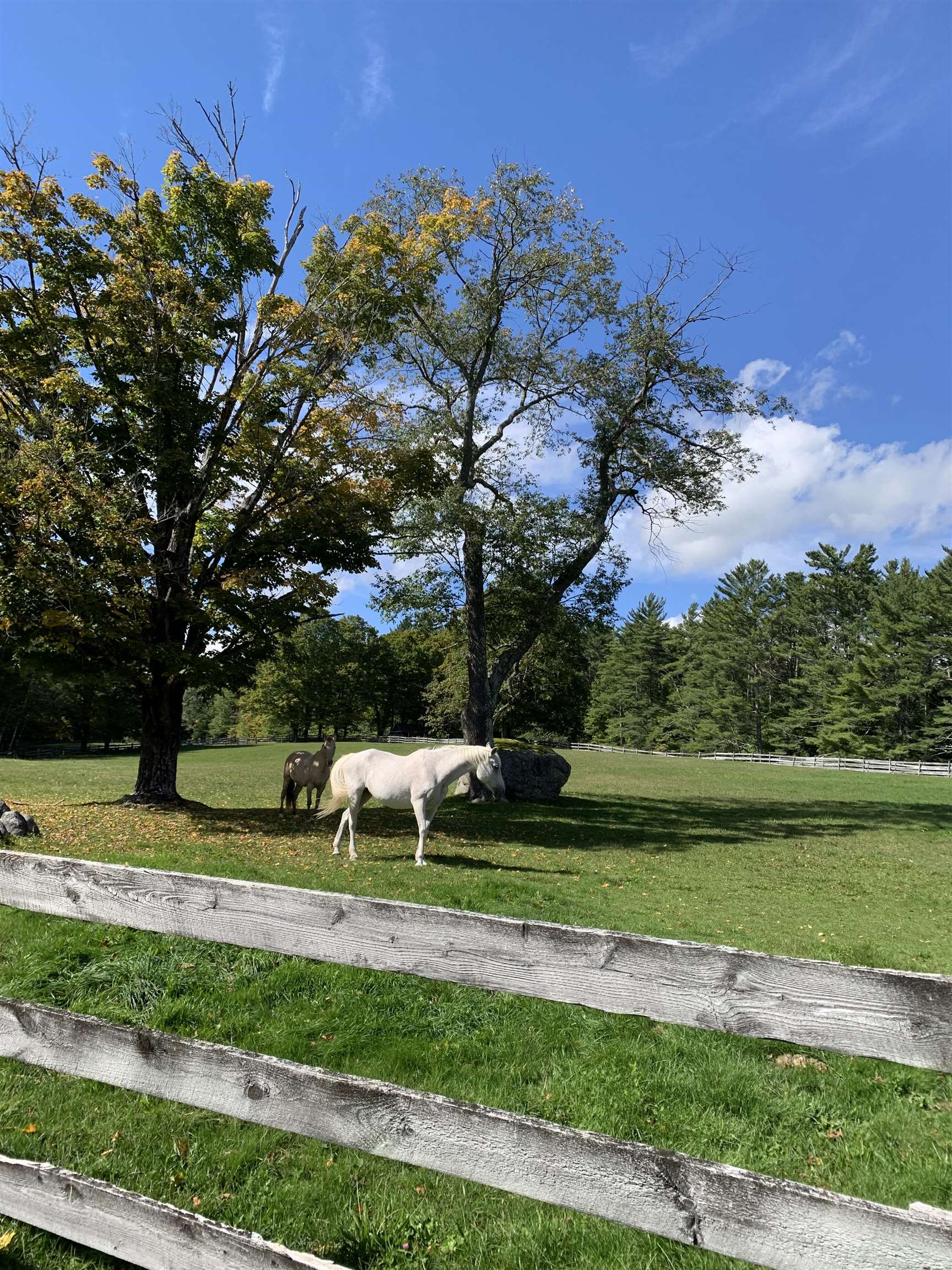 262 Cleveland Hill Road Tamworth, NH 03886 - Photo 17 of 27