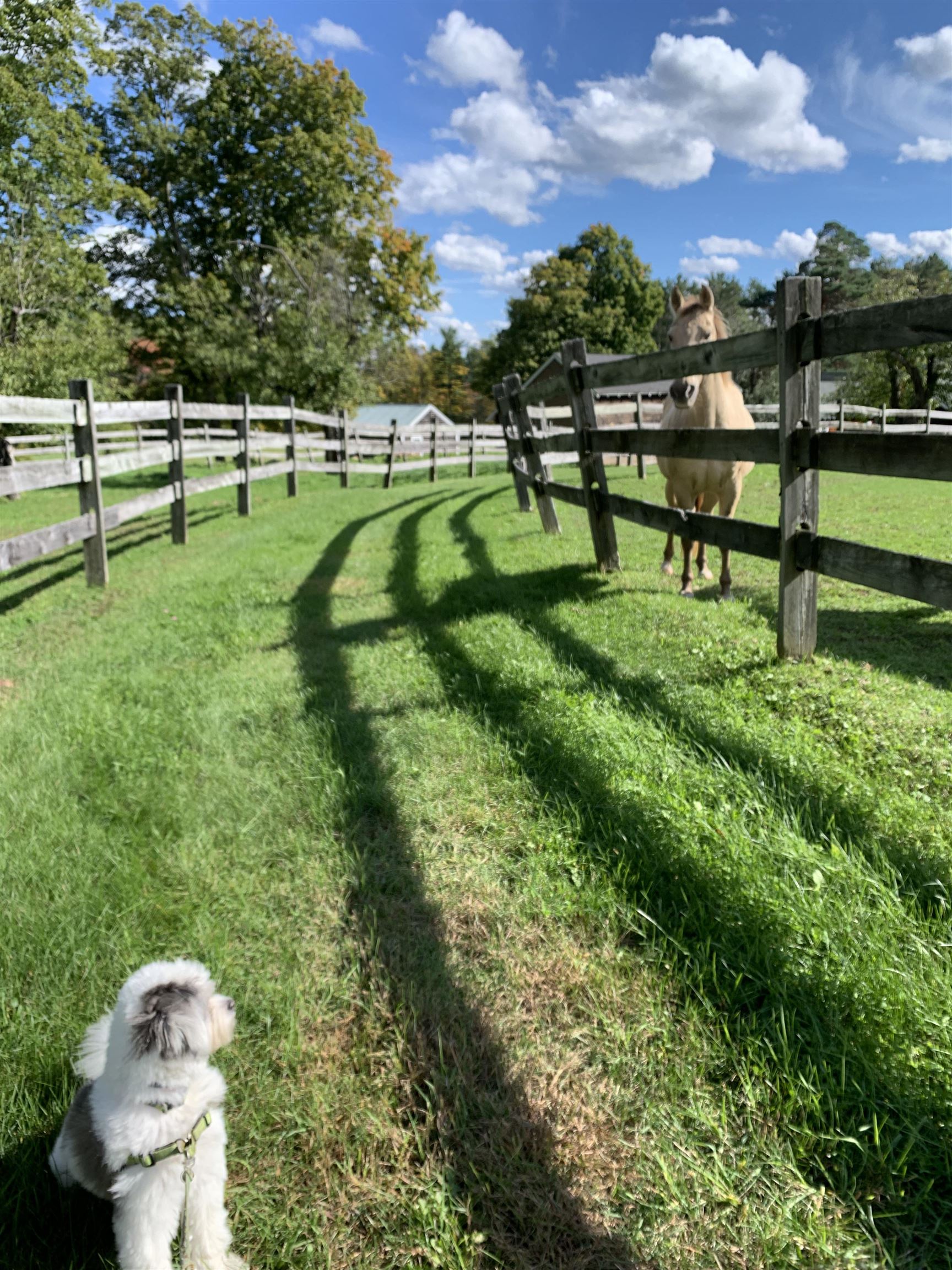 262 Cleveland Hill Road Tamworth, NH 03886 - Photo 19 of 27