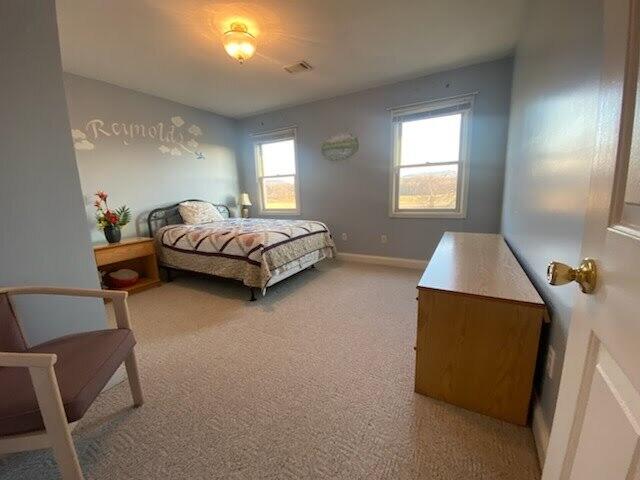 1000 Canyon Road Jasper, TN 37347 - Photo 44 of 54 bluebr