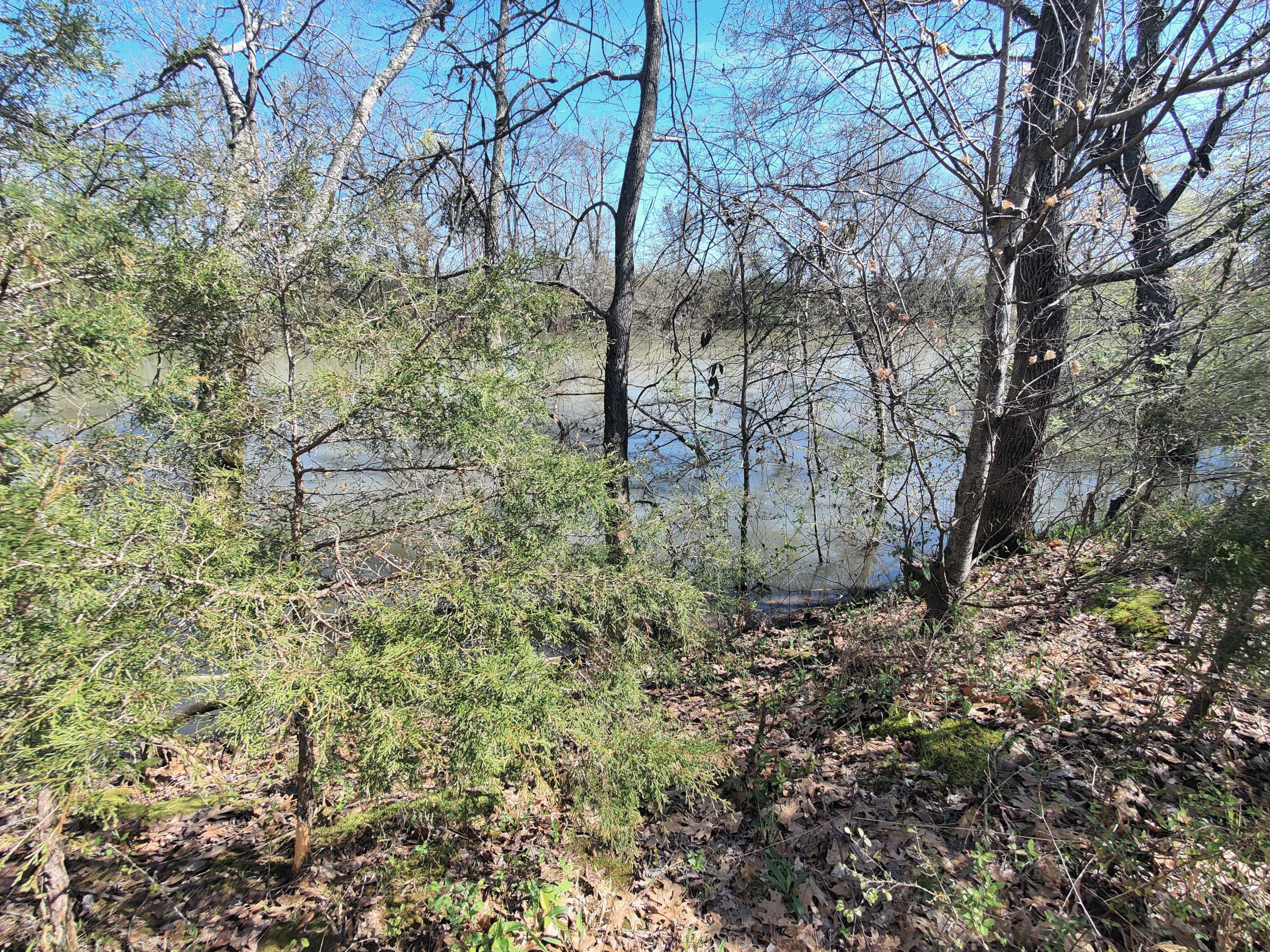 1000 Canyon Road Jasper, TN 37347 - Photo 49 of 54 rfront
