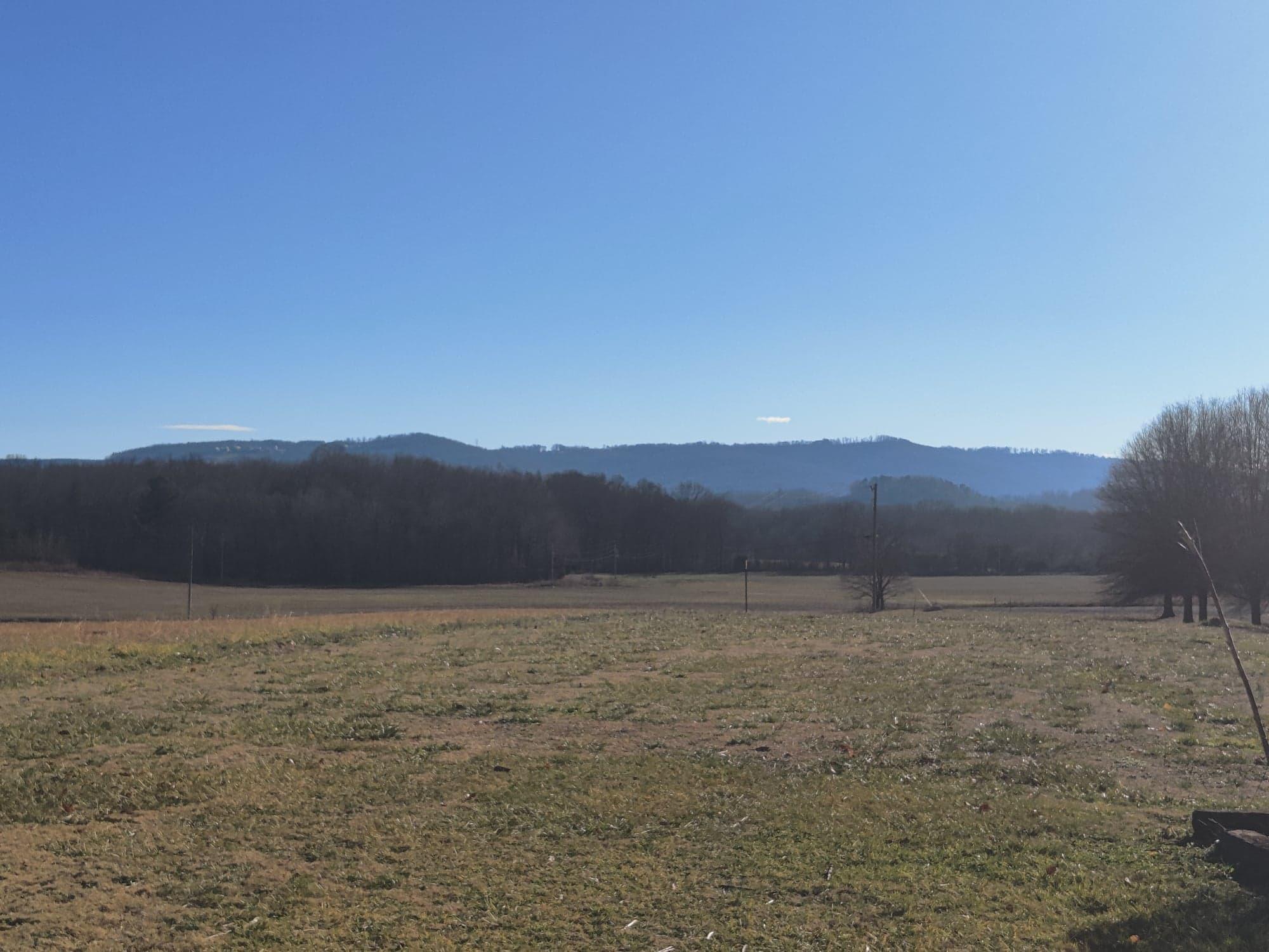 1000 Canyon Road Jasper, TN 37347 - Photo 9 of 54 front2
