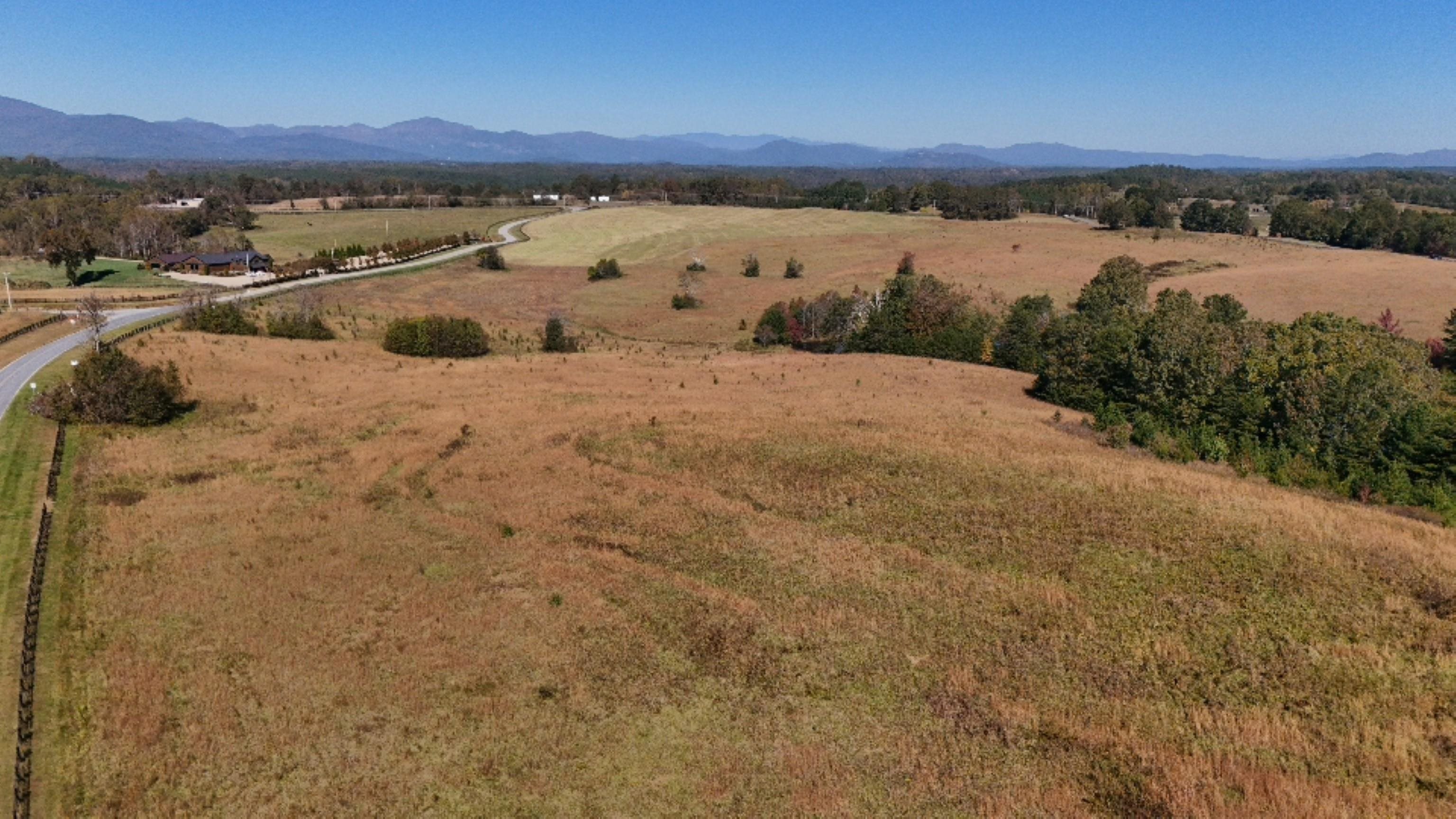 Lot 20 A R Thompson Road Mill Spring, NC 28756 - Photo 6 of 8