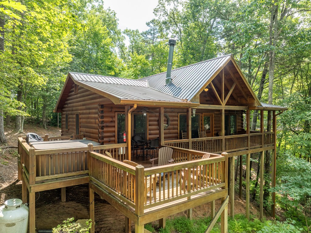 107 Little Bushy Head Road Blue Ridge, GA 30513 - Photo 36 of 43 Gallery Image 36