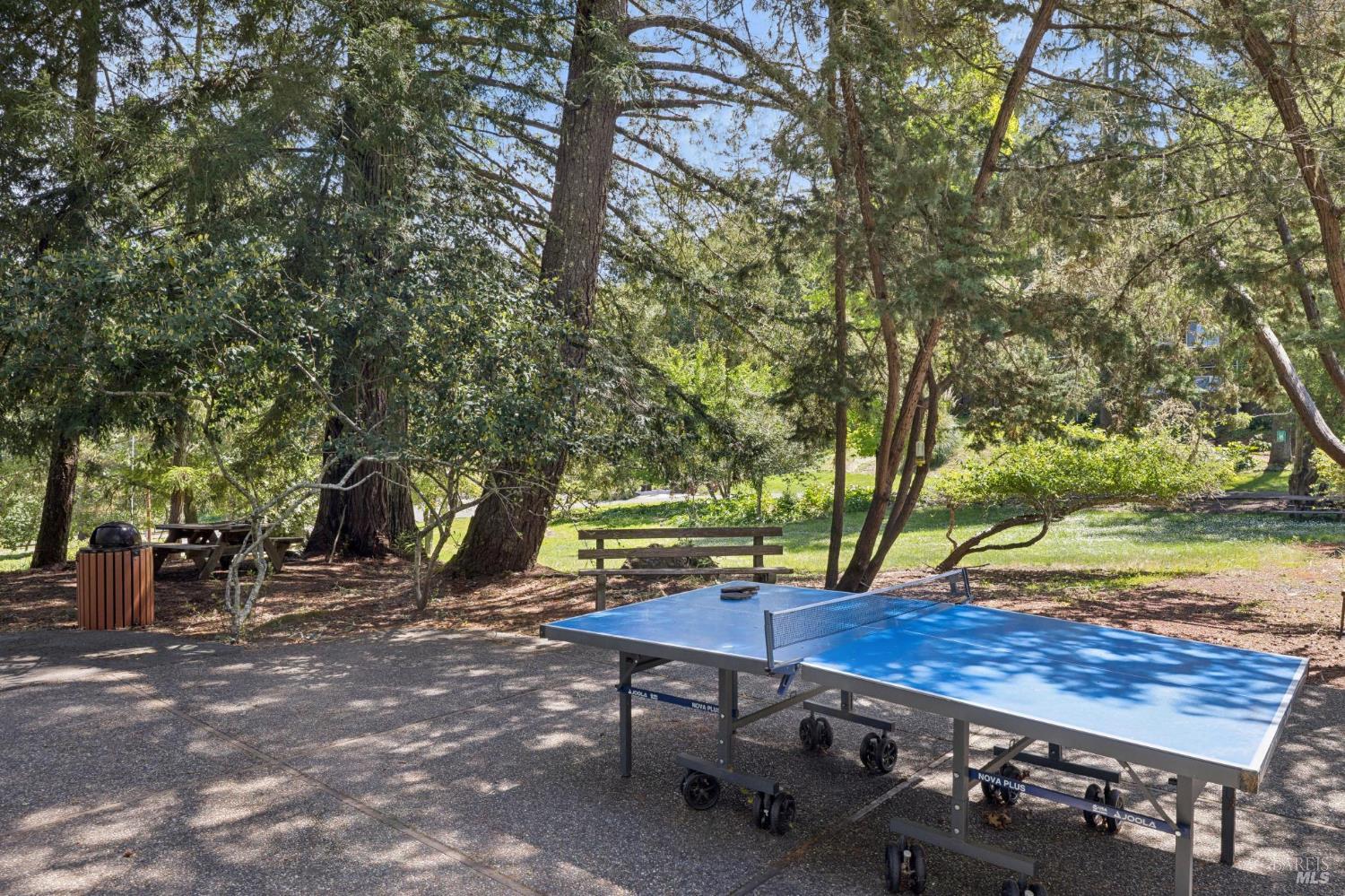 2264 Green Hill Road Sebastopol, CA 95472 - Photo 48 of 85