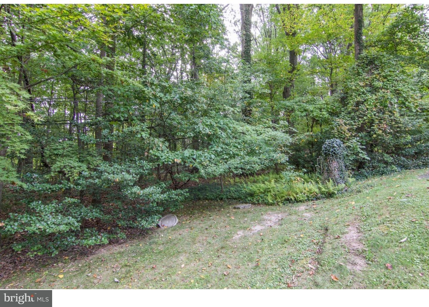317 Custis Road Glenside, PA 19038 - Photo 8 of 8 Gallery Image 8