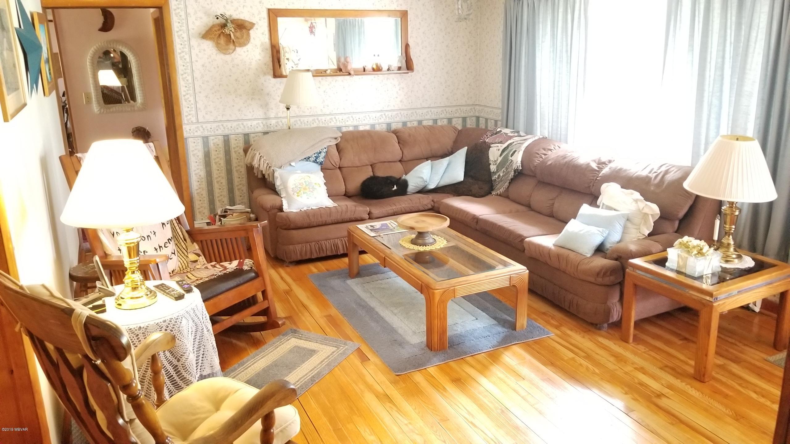 545 Riddell Road Montgomery, PA 17752 - Photo 15 of 19 living room