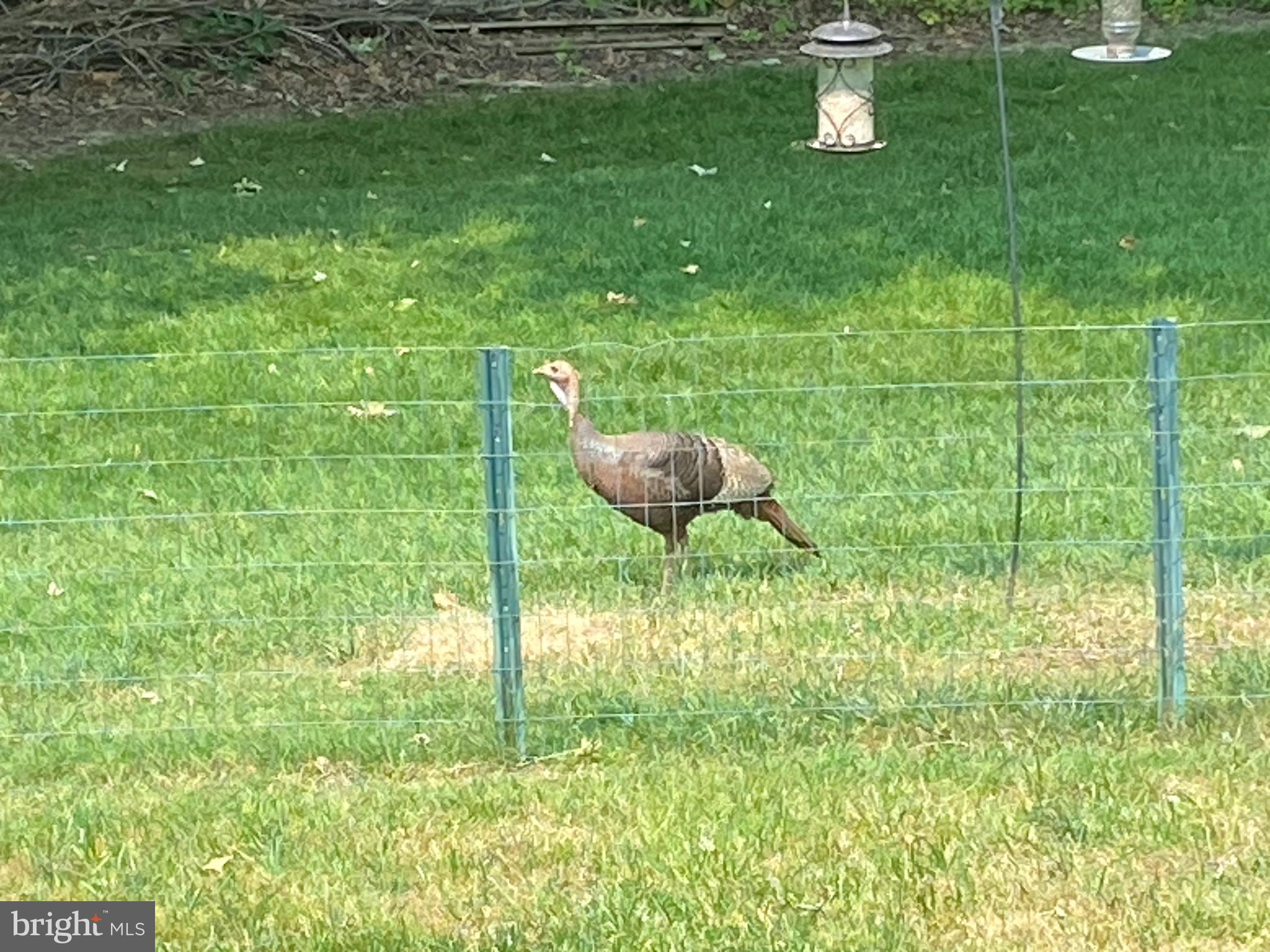 522 Paradise Road Aberdeen, MD 21001 - Photo 17 of 17 TURKEY
