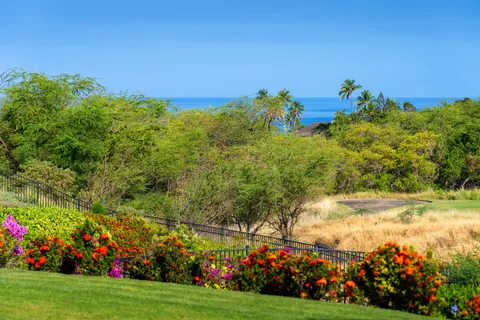 a view of a garden with flowers and trees