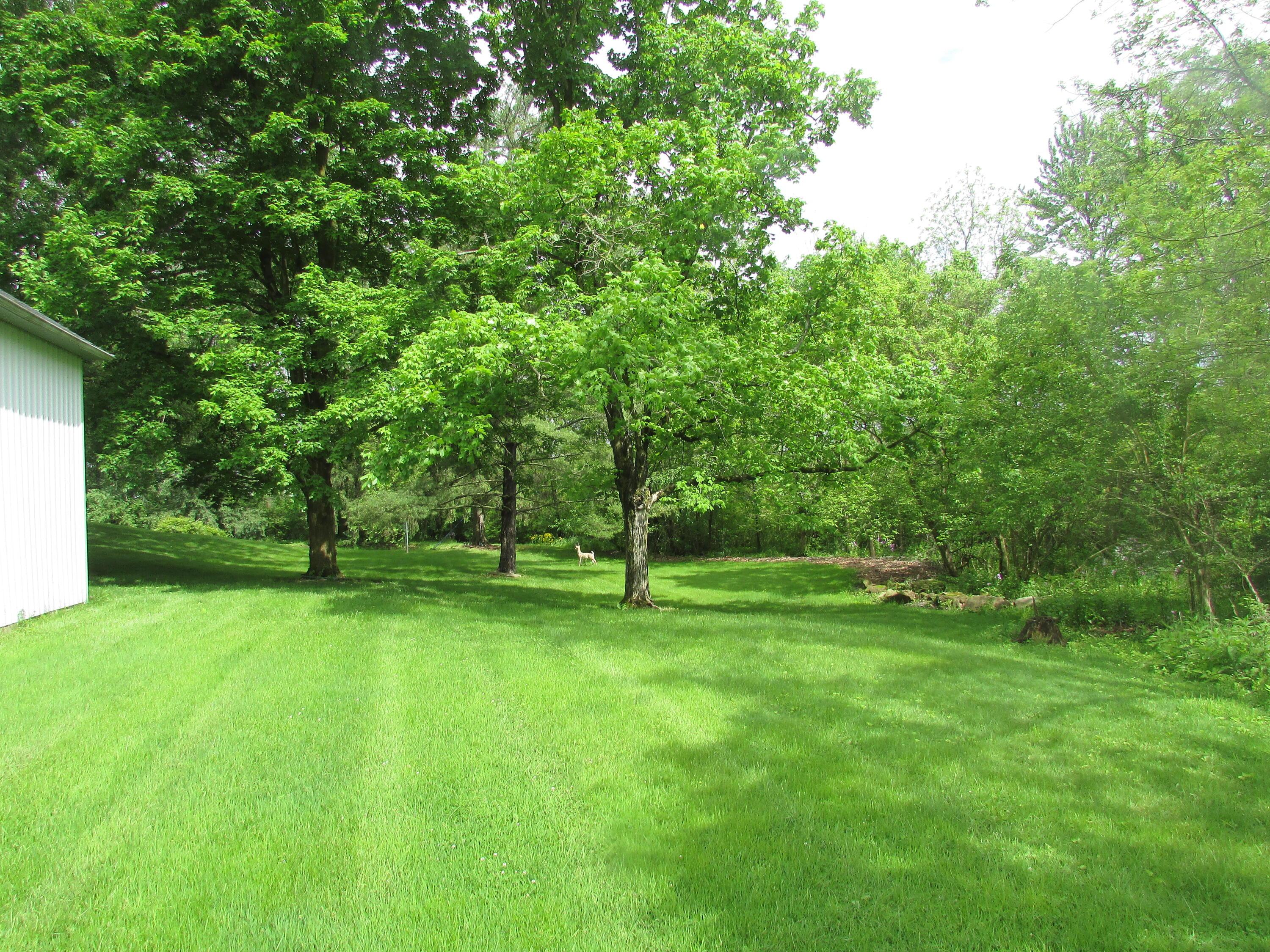 1000 Lewis Center Road Lewis Center, OH 43035 - Photo 17 of 19 Lewis Center Rear Yard
