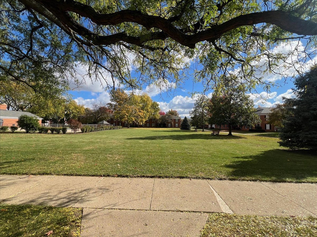 511 Coventry Lane, Unit 2 Crystal Lake, IL 60014 - Photo 24 of 40 a view of a park with large trees