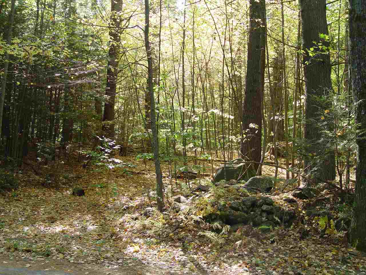 Todd Road, Unit 27 Francestown, NH 03043 - Photo 1 of 4