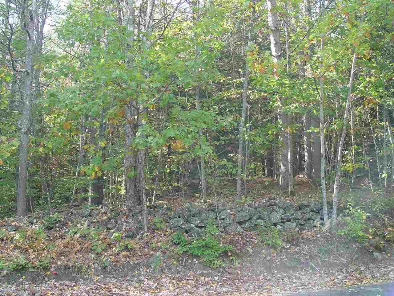 Todd Road, Unit 27 Francestown, NH 03043 - Photo 2 of 4