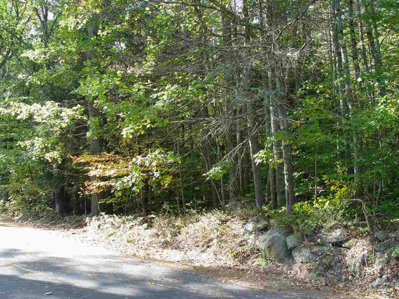 Todd Road, Unit 27 Francestown, NH 03043 - Photo 4 of 4