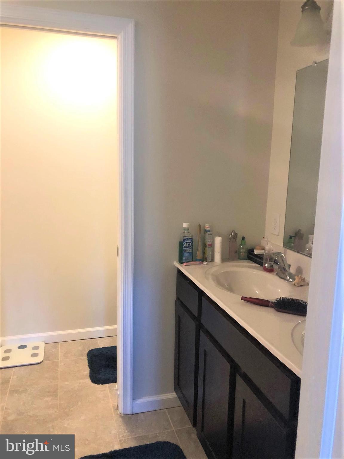 258 Snapdragon Way Allentown, PA 18104 - Photo 11 of 20