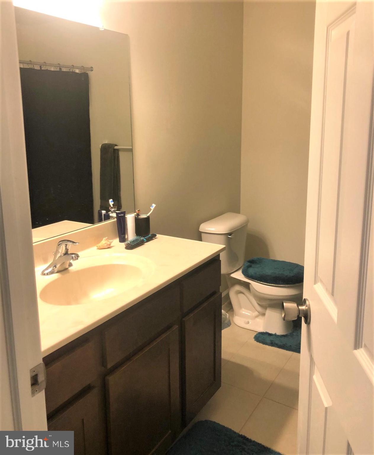 258 Snapdragon Way Allentown, PA 18104 - Photo 13 of 20