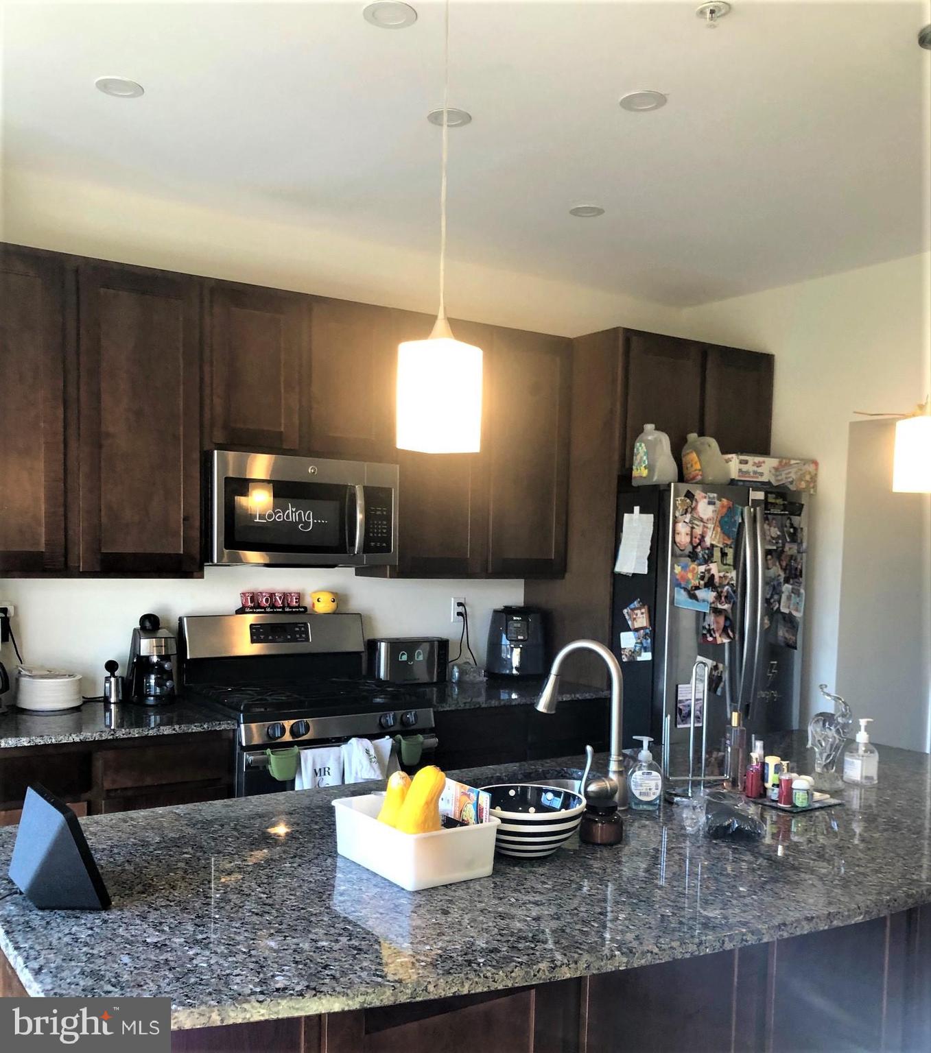 258 Snapdragon Way Allentown, PA 18104 - Photo 4 of 20