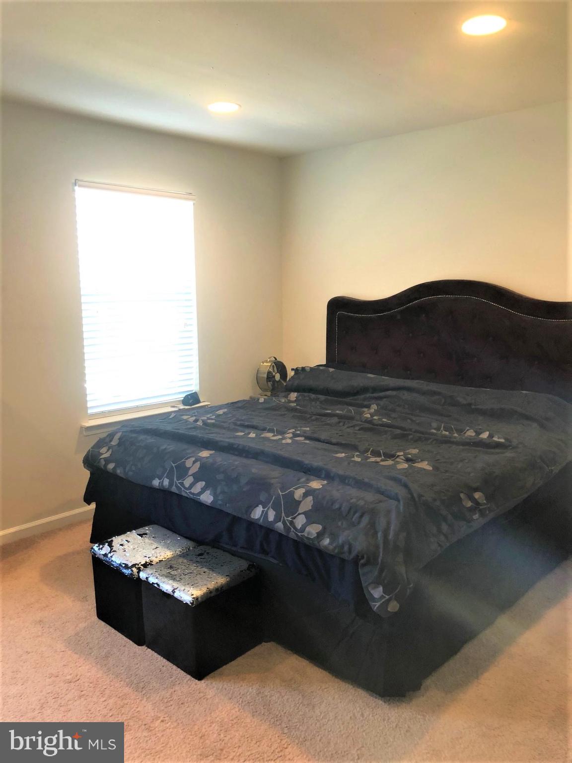 258 Snapdragon Way Allentown, PA 18104 - Photo 8 of 20