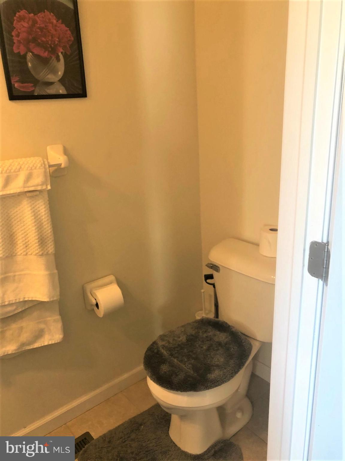 258 Snapdragon Way Allentown, PA 18104 - Photo 10 of 20