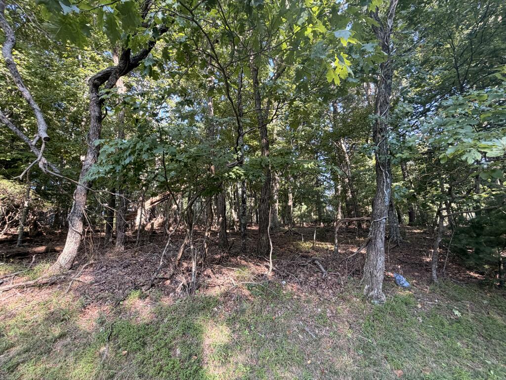 Tbd Cascade Trail, Unit 13 Fancy Gap, VA 24328 - Photo 16 of 19 Gallery Image 16