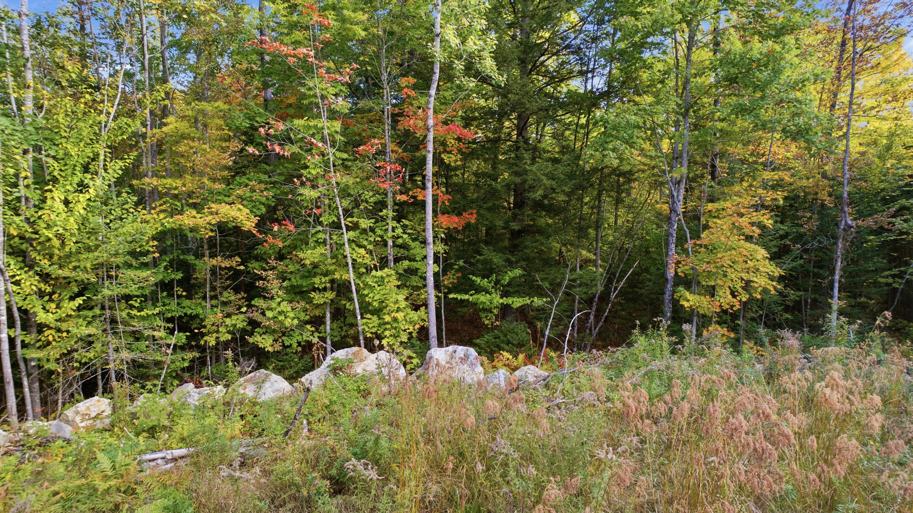 Lot 6 River Road Sumner, ME 04292 - Photo 21 of 39 Lot 6 River Sumner-22