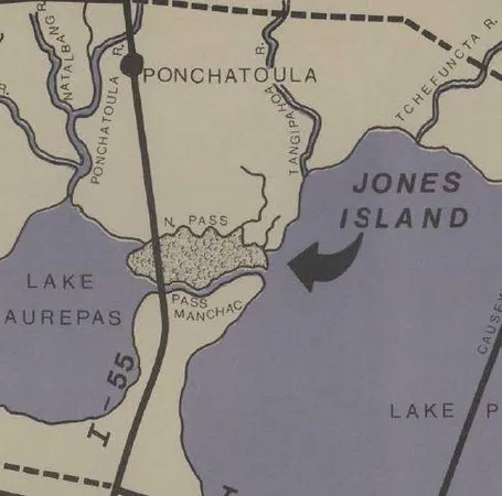 $30,000 | 0 Jones Island, Ponchatoula, LA 70454