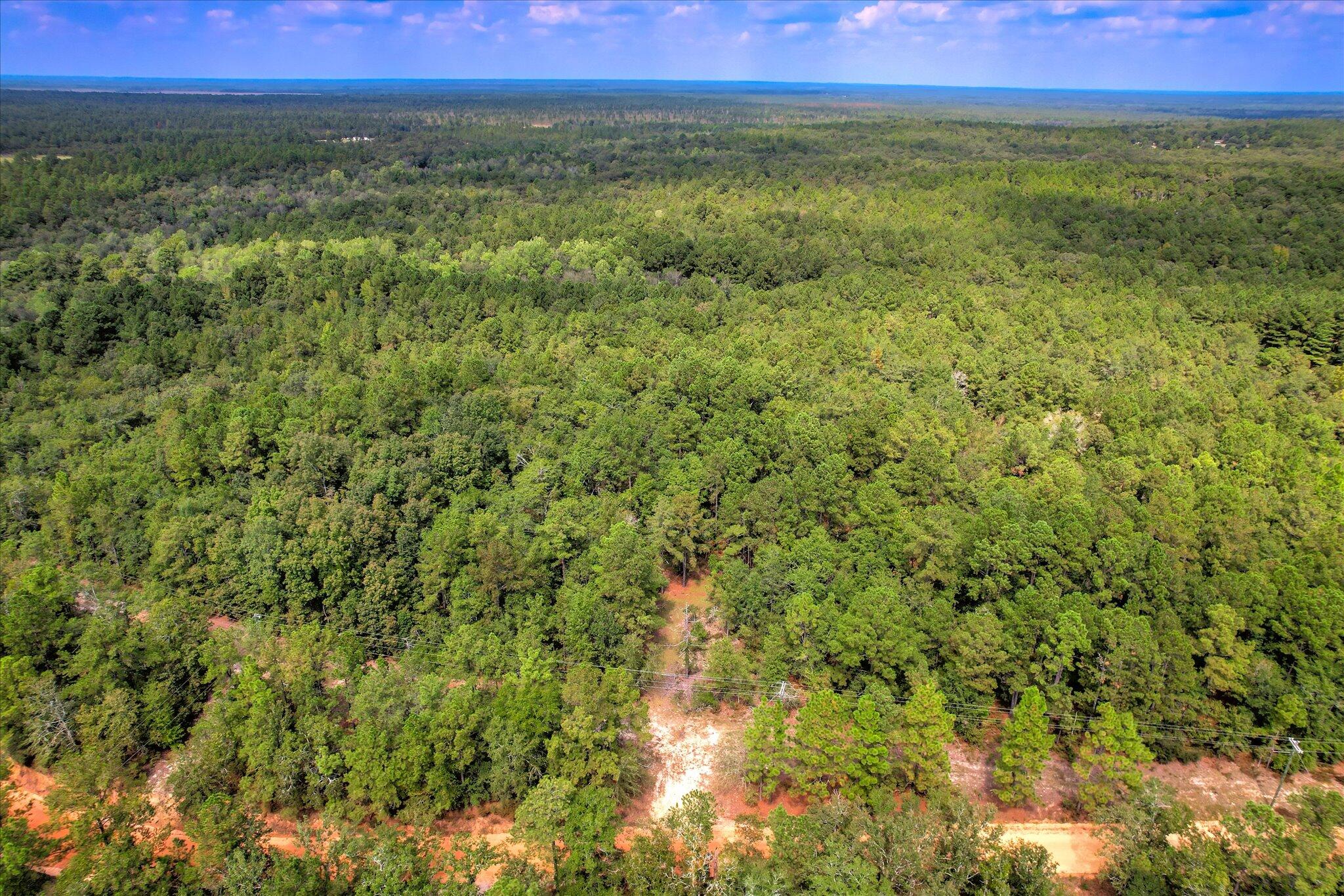 001 A Centerwood Road Williston, SC 29853 - Photo 1 of 19