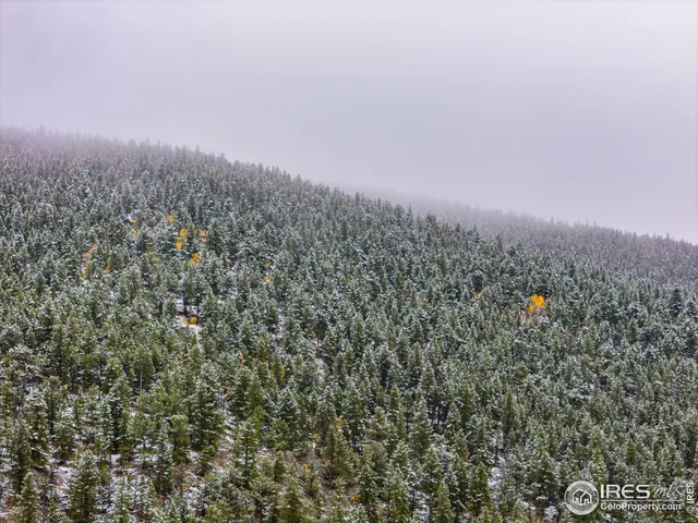 $1,100,000 | 200 Severance Lodge Road, Black Hawk, CO 80422