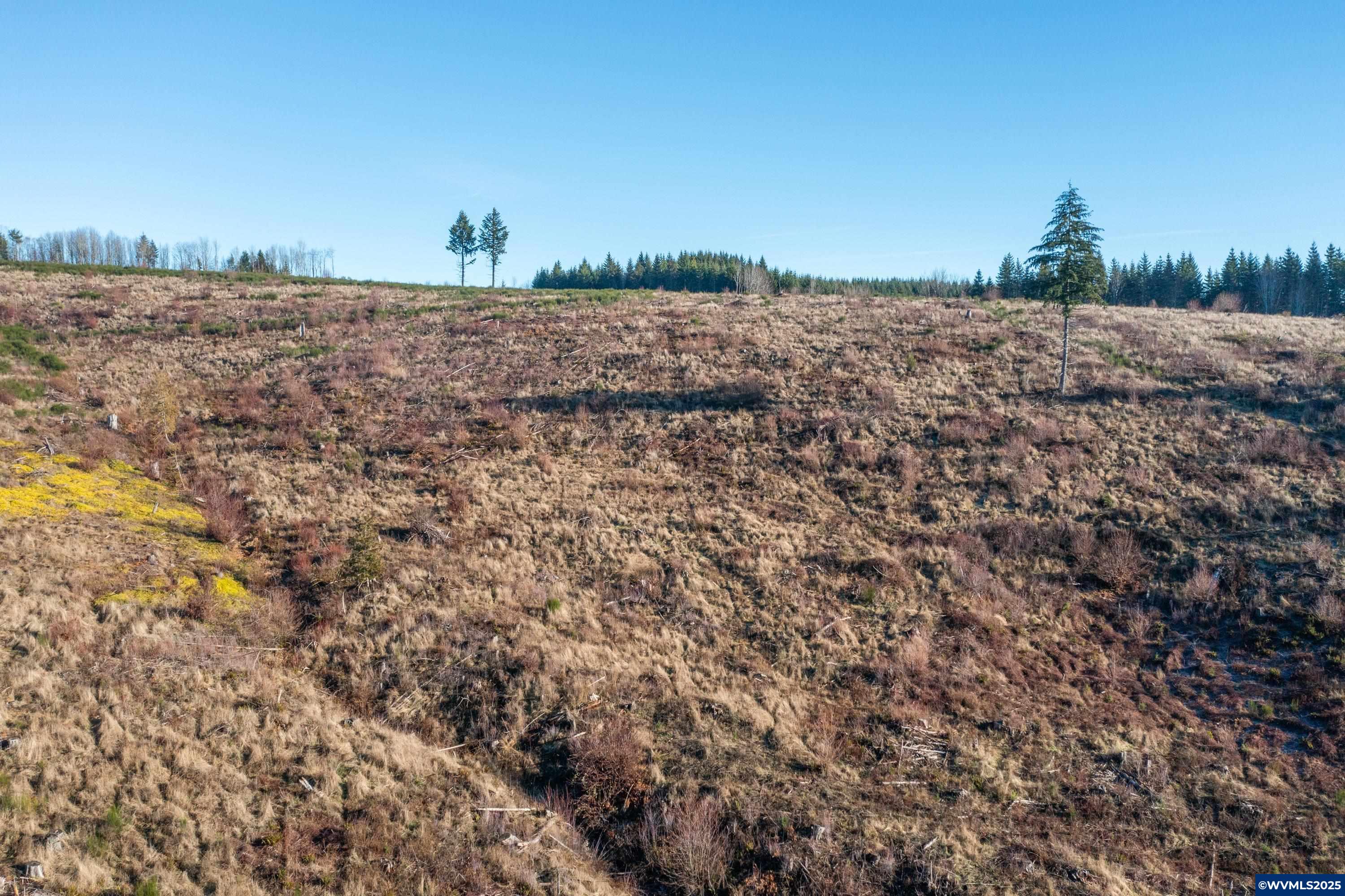 0 Northwest Sellers Road North Plains, OR 97133 - Photo 18 of 36