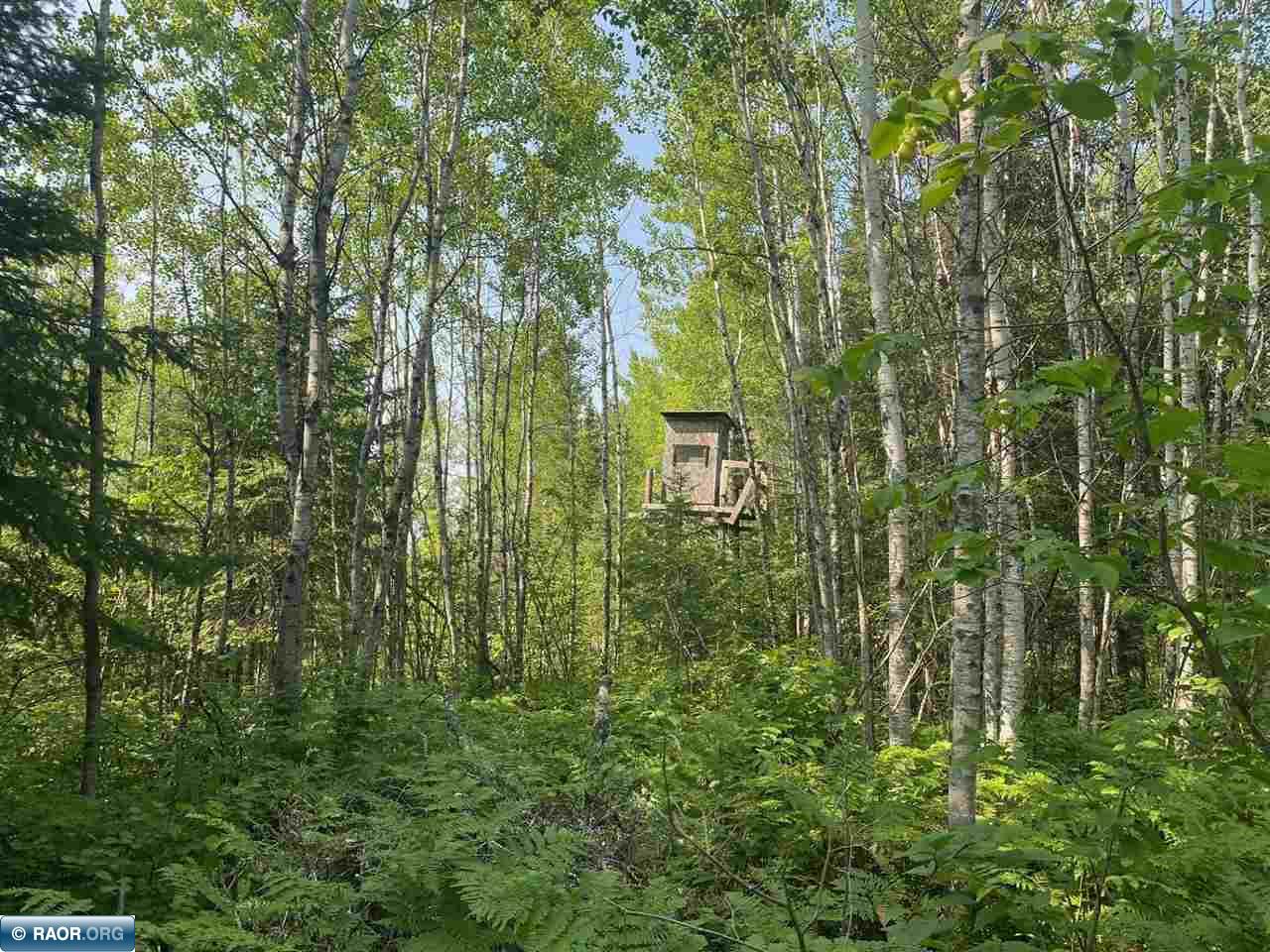 11511 State Highway 1 Cook, MN 55723 - Photo 31 of 37