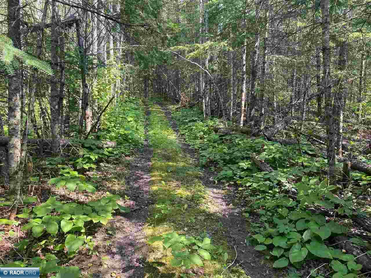 11511 State Highway 1 Cook, MN 55723 - Photo 33 of 37