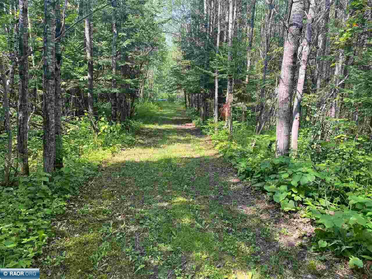 11511 State Highway 1 Cook, MN 55723 - Photo 34 of 37