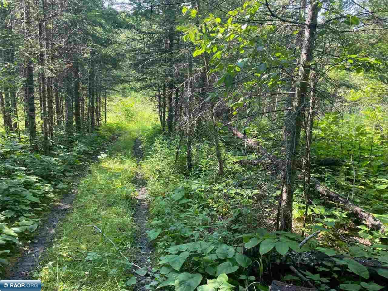 11511 State Highway 1 Cook, MN 55723 - Photo 35 of 37