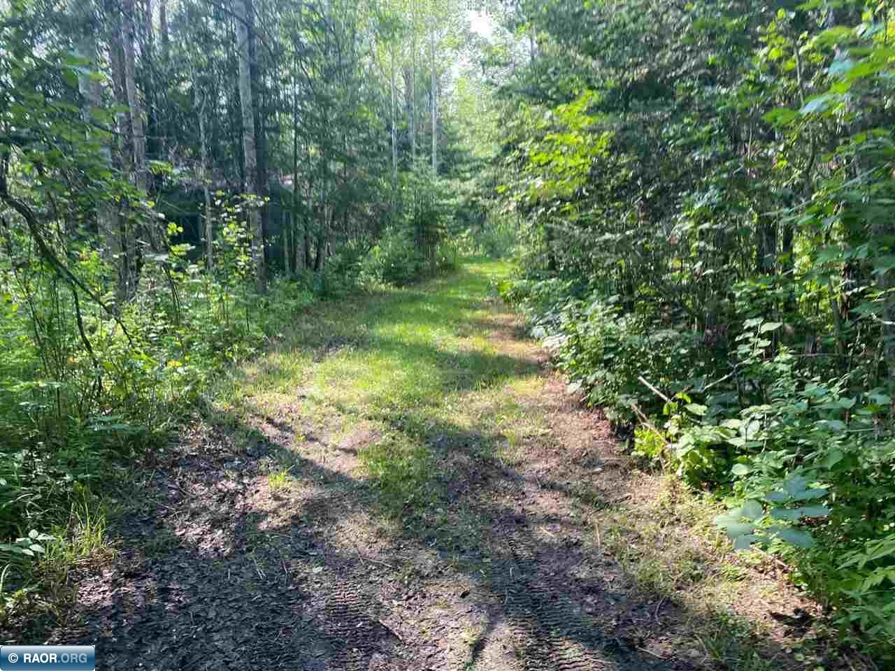 11511 State Highway 1 Cook, MN 55723 - Photo 36 of 37