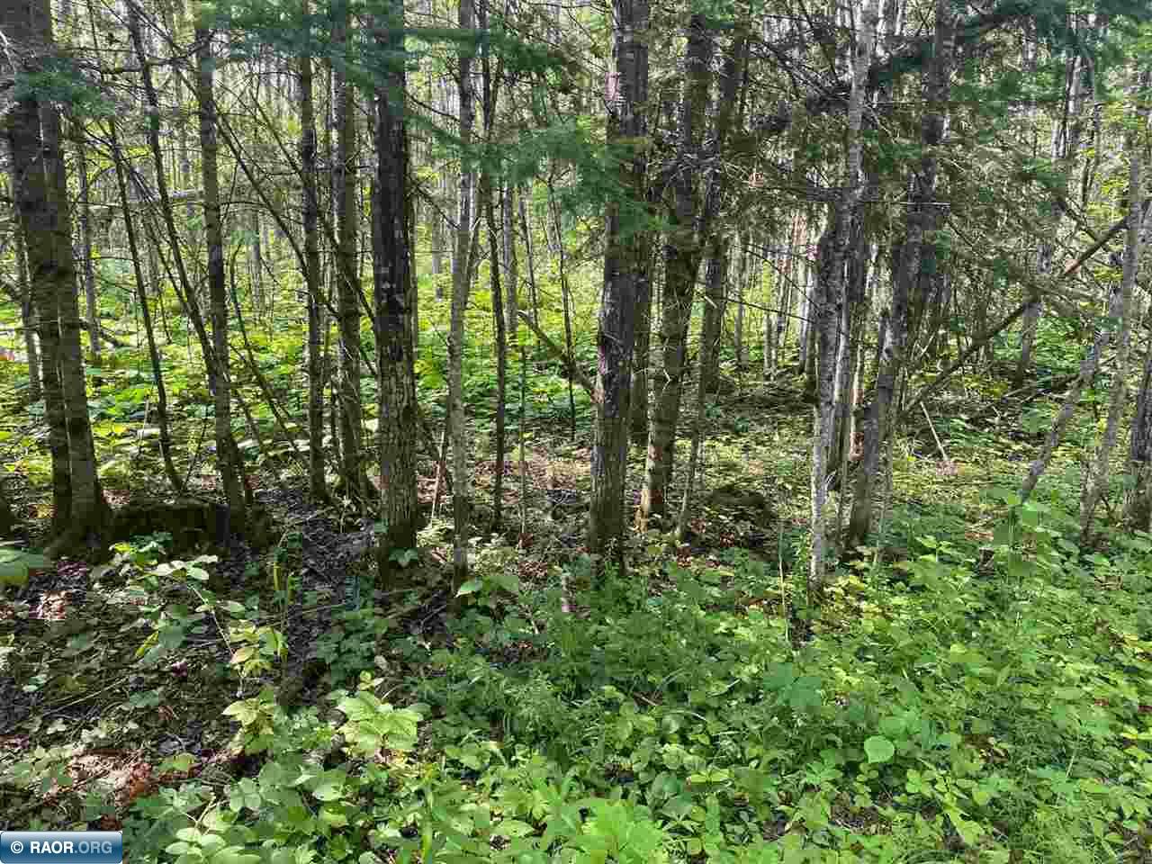 11511 State Highway 1 Cook, MN 55723 - Photo 37 of 37