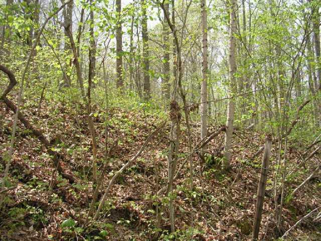 Lot #11 Stinson Road Morgantown, IN 46160 - Photo 1 of 1 Gallery Image 1