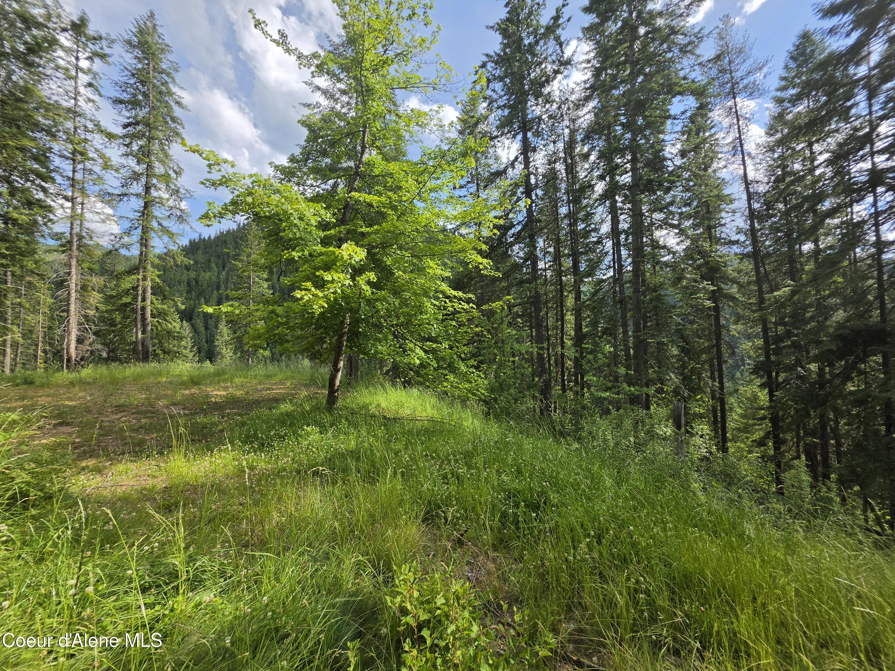 480 Dunn Peak Road Avery, ID 83802 - Photo 45 of 66 3rd Building Site