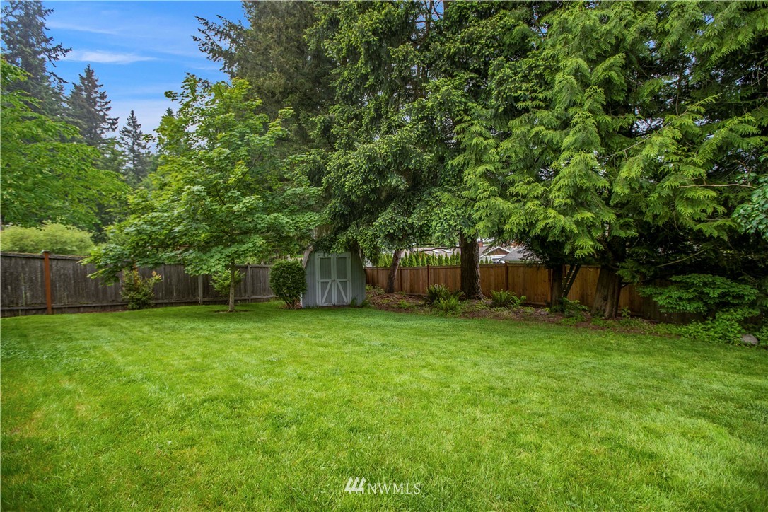 23625 48th Avenue Southeast Bothell, WA 98021 - Photo 35 of 40 a view of a trees in a yard