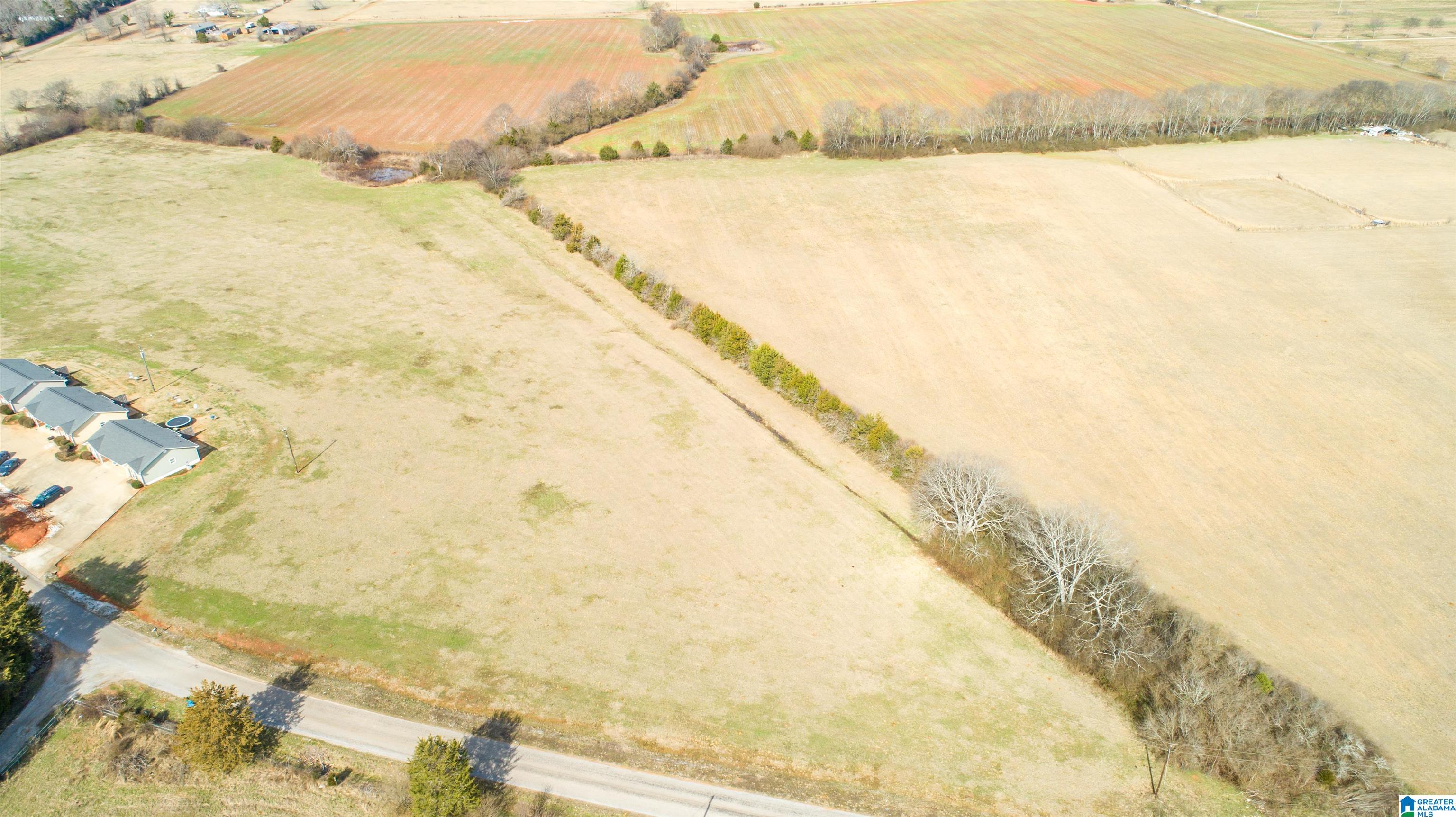 0 Oak Grove Road Munford, AL 36268 - Photo 6 of 9