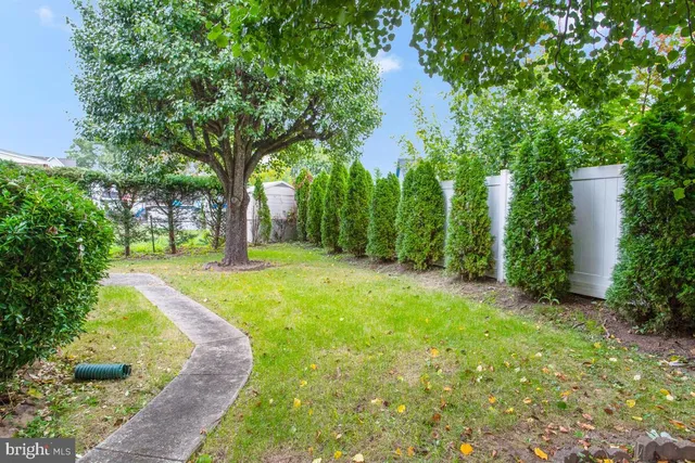 a view of a backyard with large trees