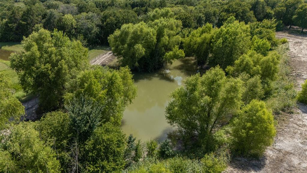 1065 Bluff Springs Road Ferris, TX 75125 - Photo 10 of 11 an aerial view of residential house with outdoor space and trees all around