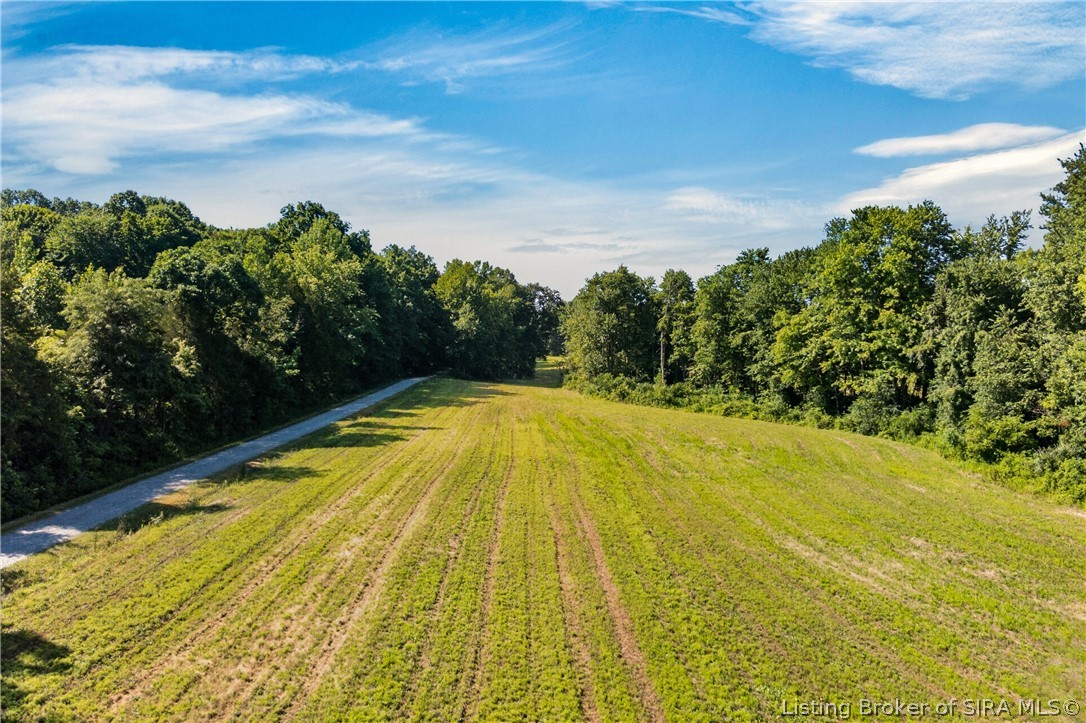 East Peacock Road Deputy, IN 47230 - Photo 11 of 17 Tillable Land