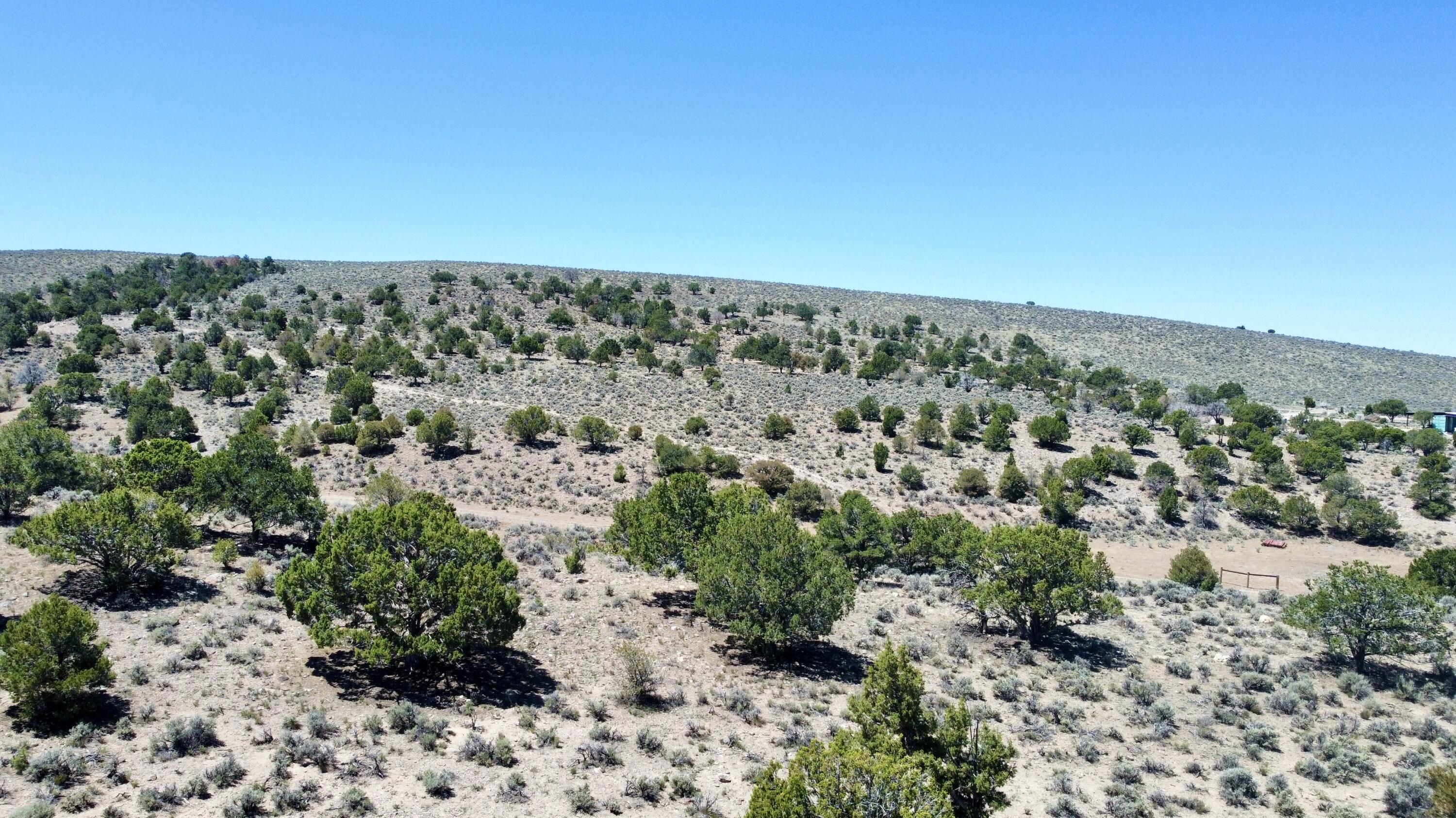 T30 South R7 W S2 Beaver, UT 84713 - Photo 3 of 10 dji_fly_20260611_121608_370_178120177399