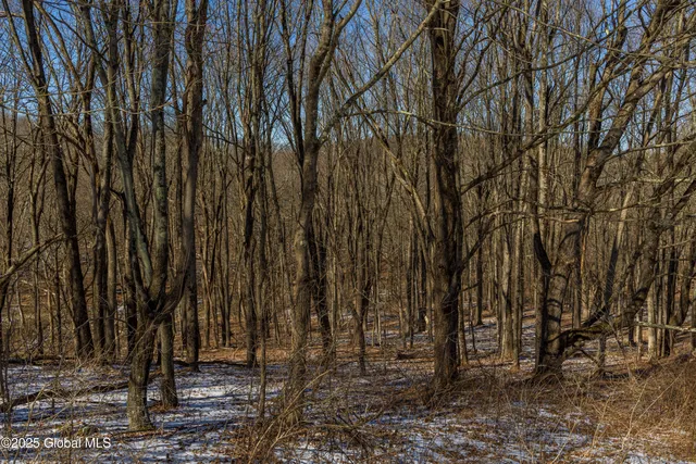 $750,000 | 408 State Route 199, Milan, NY 12571