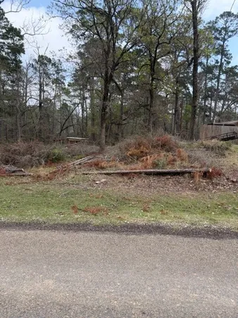 $25,000 | Lot 213 Dogwood Drive, Trinity, TX 75862