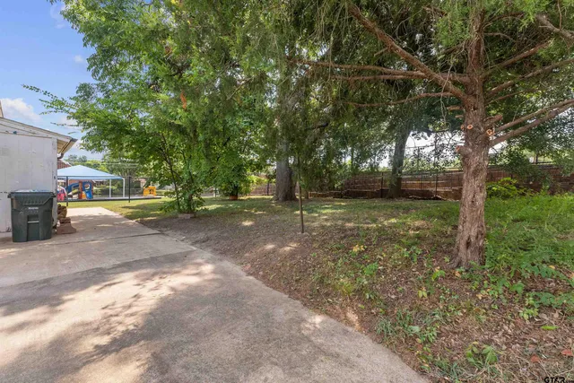 a view of a yard with a tree