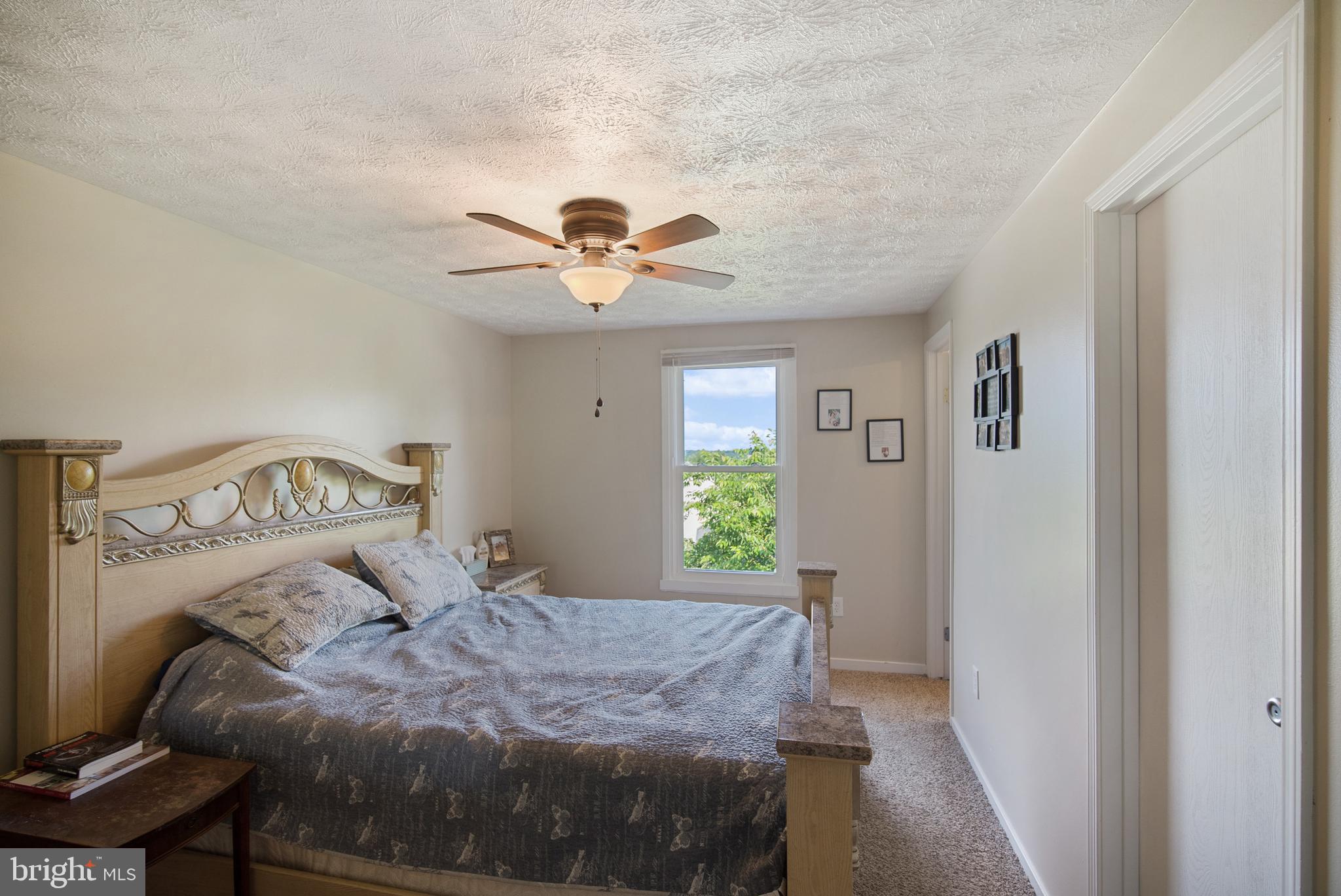 1101 Valen Road Westminster, MD 21157 - Photo 20 of 40 Owners Bedroom