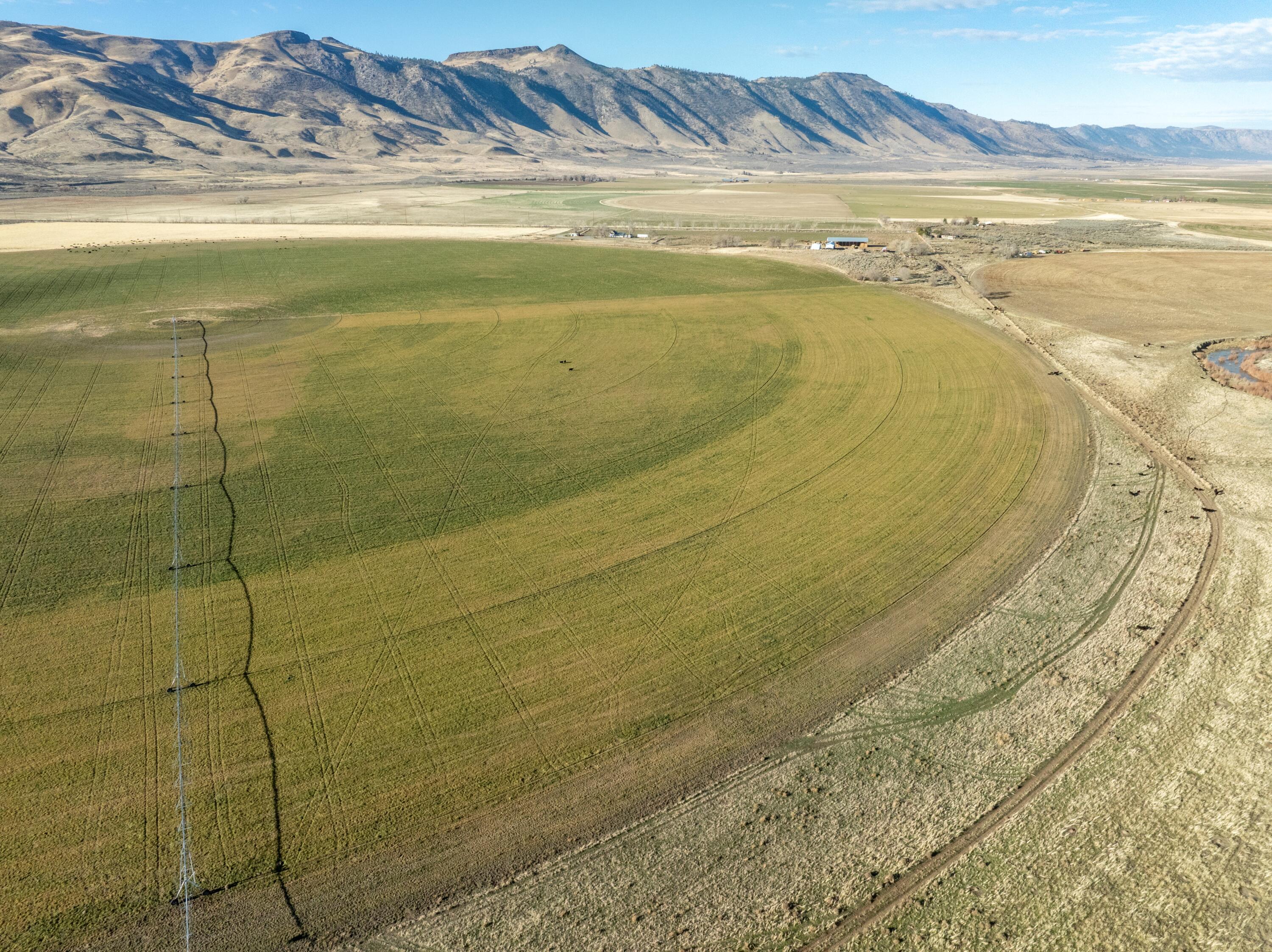 443-400 Garnier Road Doyle, CA 96109 - Photo 14 of 16 pivot irrigation farm land for sale cali